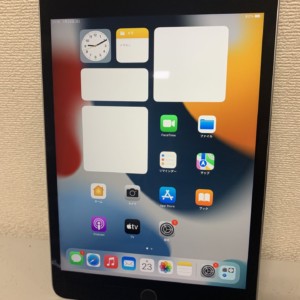 Apple Wi-Fi 版　iPad mini 4 64GB ｽﾍﾟｰｽｸﾞﾚｲ　中古美品