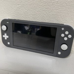 任天堂　Nintendo Switch Lite　グレー　本体　中古美品