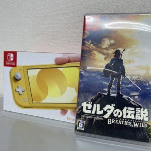任天堂　Nintendo Switch Lite＋ソフト1本　中古美品