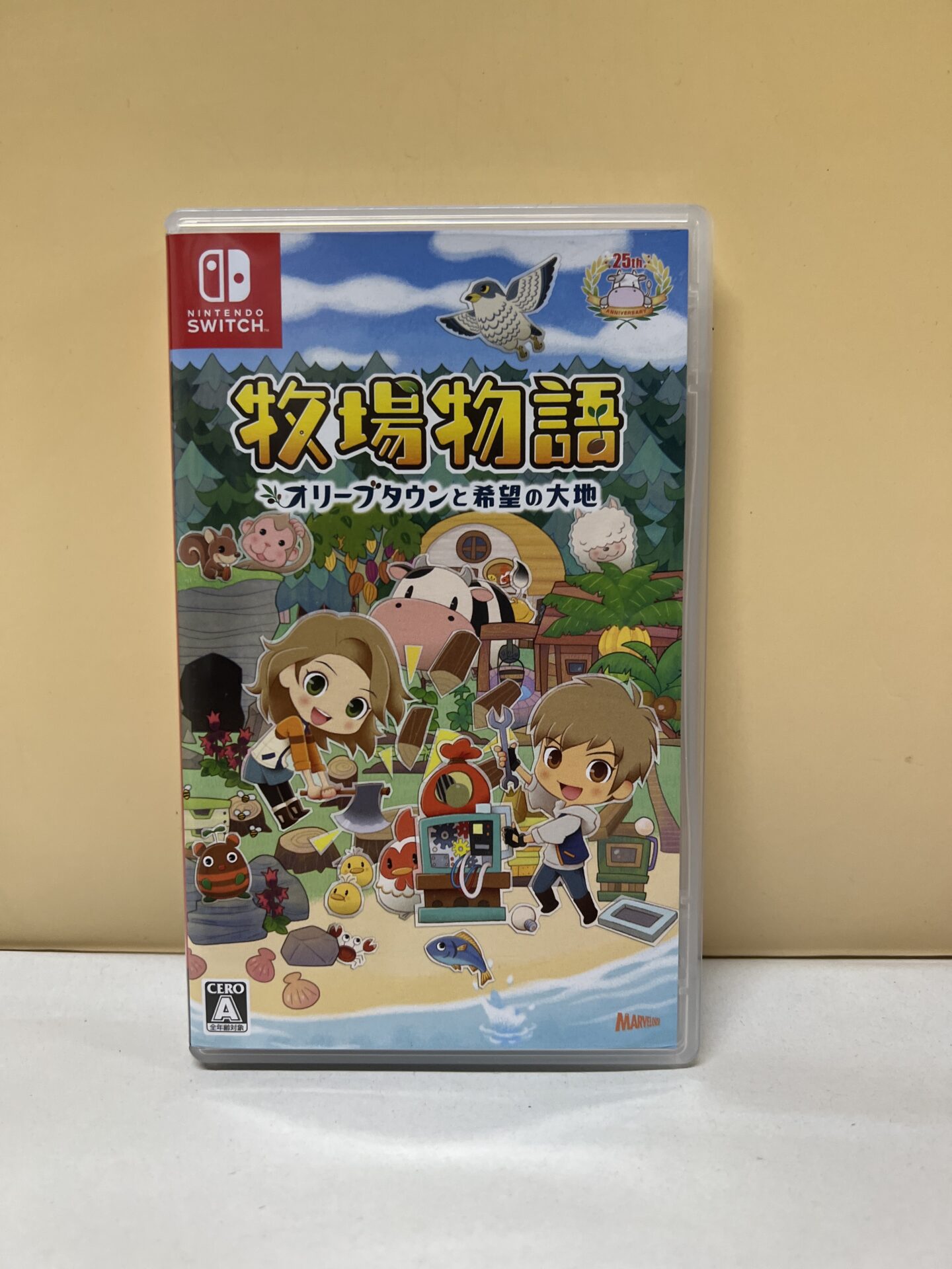 買取商品：【福岡店】スイッチソフト 牧場物語 スリープタウンと希望の大地　中古