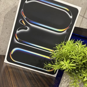iPad Pro 13インチ M4 第1世代 256GB Cellular版
