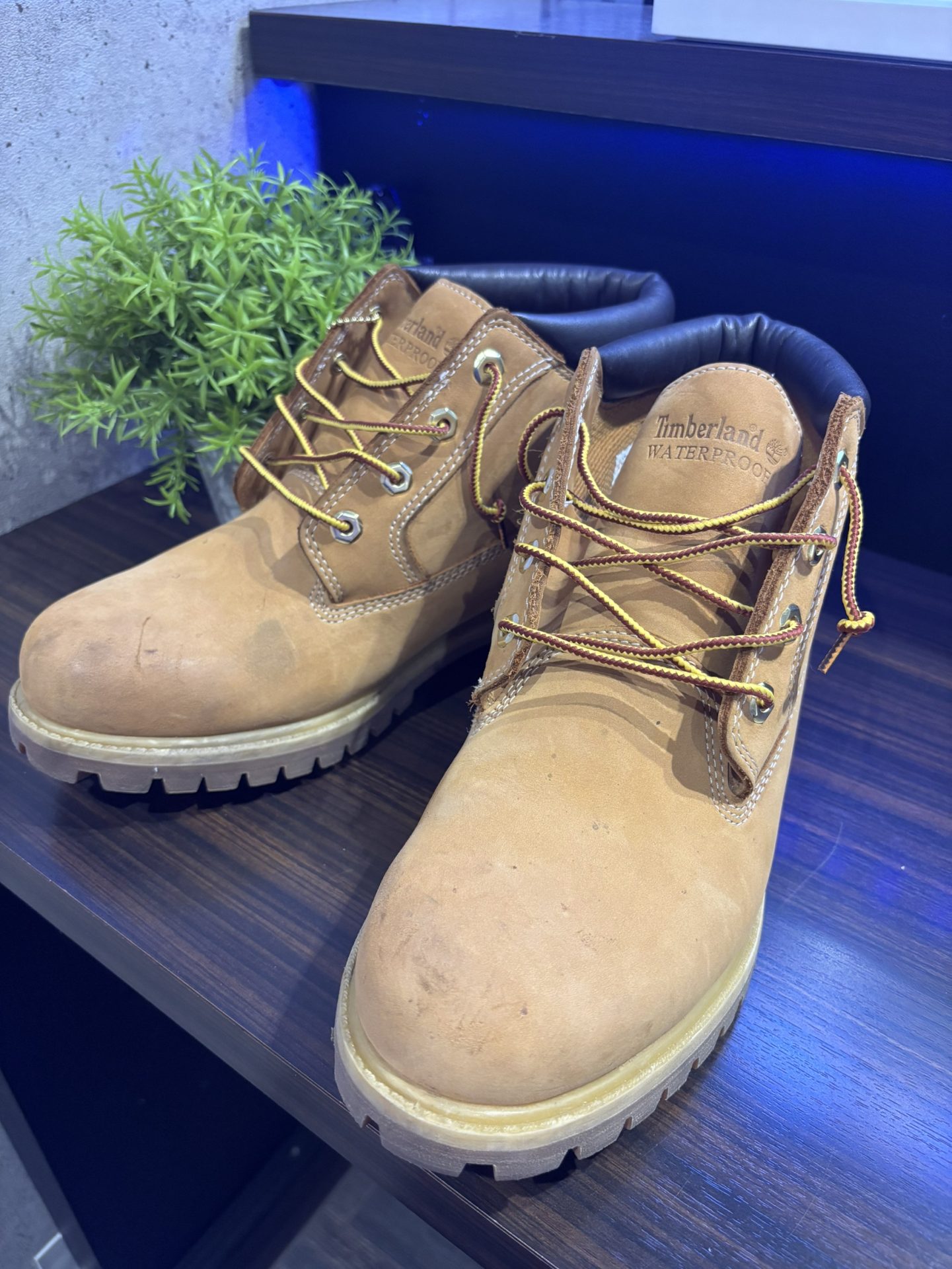 買取商品：Timberland ウォータープルーフ チャッカ ブーツ